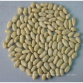 Competitive Blanched Peanut Kernel (25/29)